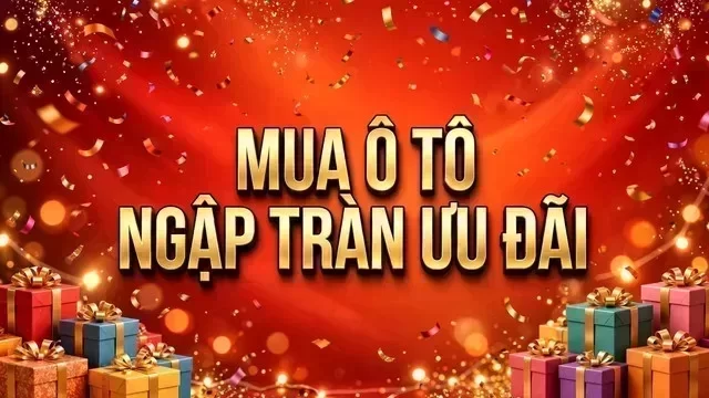 Địa điểm hỗ trợ xem xe tại Quảng Nam